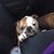 Michelle Popwell's profile image