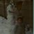 Kevin Lawson's profile image