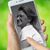 Pamela Jackson Parsons's profile image
