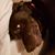 Jessica Harker's profile image