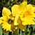 Carolyn Trigg's profile image