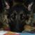 Diane Huddleston Coggins's profile image