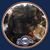 Patti Hensen's profile image