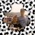 Cindy AnnPaul's profile image