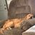 Tracy Taylor Page's profile image