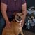 Kim Carstensen's profile image