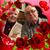 Sandy Morell-Minks's profile image