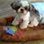 Janice Watson's profile image