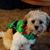 Margaret Clifton's profile image