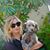 Deborah Chaffey Brierre's profile image