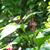 Mary Petruzzello Mendoza's profile image