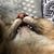 Kim Berly's profile image