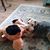 Marjie Mcmullen's profile image