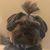 Juan Yepes's profile image