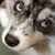 Michelle Morez's profile image