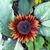 Sharon Lendon's profile image