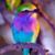 Christina Chamberlain's profile image