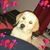 Mj Wixsom's profile image
