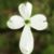 Clara Stanfield's profile image