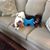 Karen Fogg's profile image