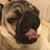 Patricio Quetglas's profile image