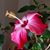 Sharon Moore's profile image