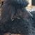 Audrey Lebeuf's profile image