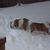 Cheryl Gibbs R.'s profile image