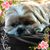 Sue Marquette's profile image
