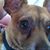 Deb Willems's profile image