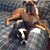 Margie Swanson's profile image