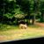 Marcia Rose's profile image