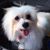 Bill Noyes's profile image