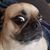 Gary Cornelia's profile image