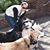 LeAnne Williams's profile image