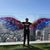 Birger Der Biertige's profile image