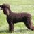 Emily Pikul's profile image