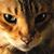 Jim Baldassare's profile image