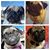 Lidia Diaz's profile image