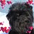Shirley Welch's profile image