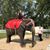 Barbara Beringer Deja Friedman's profile image