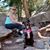 Lisa Bauers's profile image
