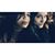 Alicia Garcia's profile image