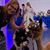 Carolyn Colwill's profile image