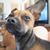 Brenda Gleffe's profile image