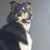 Craig Manning's profile image