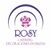 Rosy Gonzalez's profile image