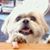 Vera L. Foote's profile image