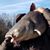 Mark Faulhaber's profile image