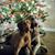 Emily May Brunke's profile image